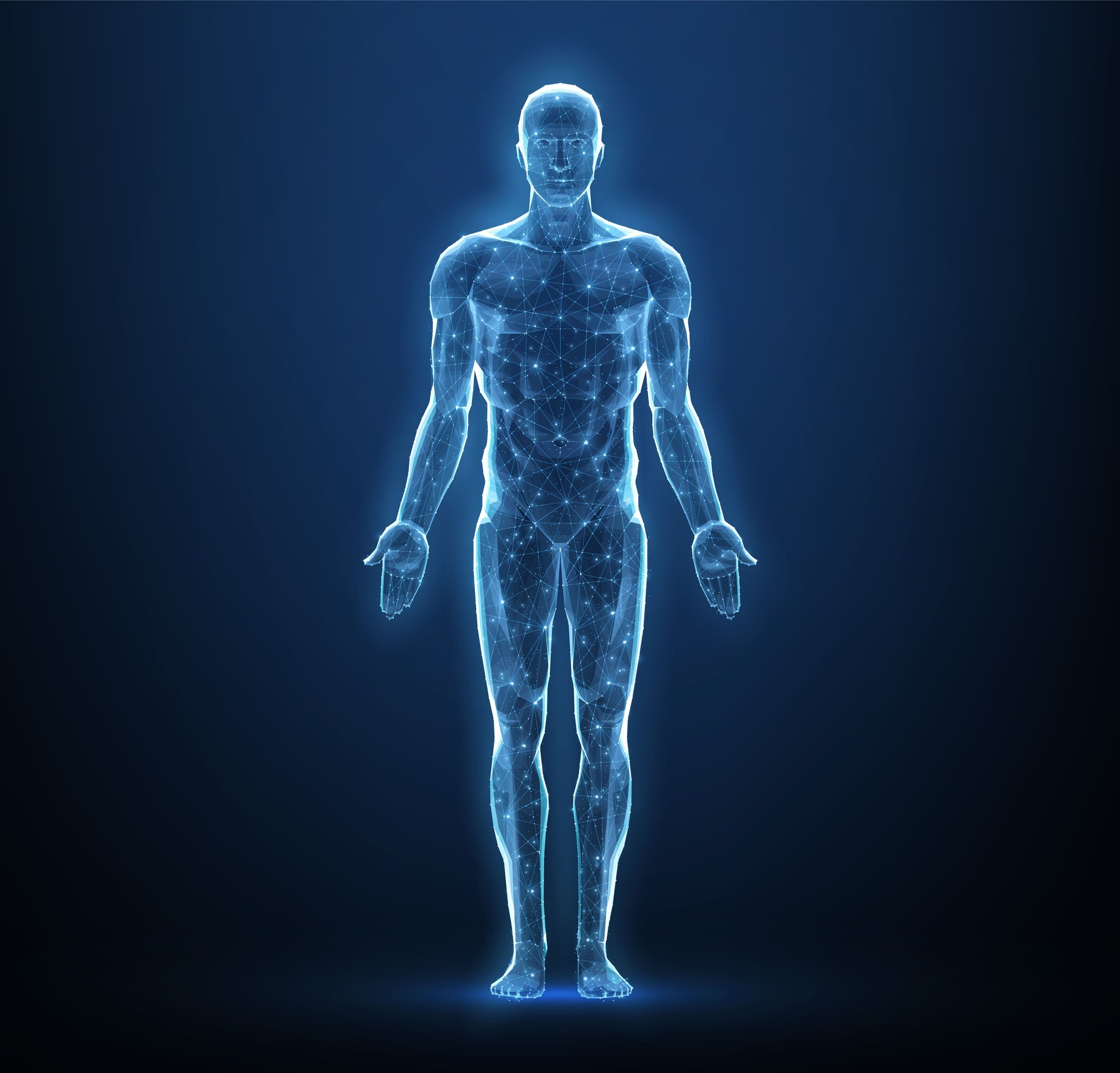 Human body. Abstract . Digital anatomy, Medical technology, Muscle structure.